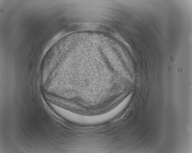 X0000085051467200704021307