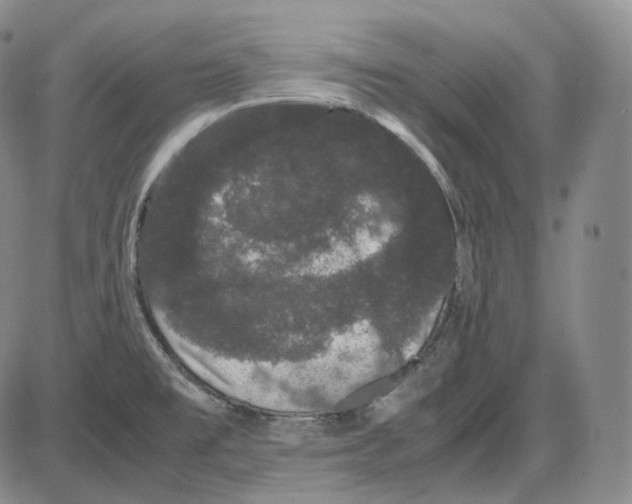 X0000085051477200704021306