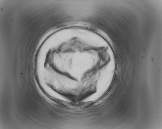 X0000085051483200704021306