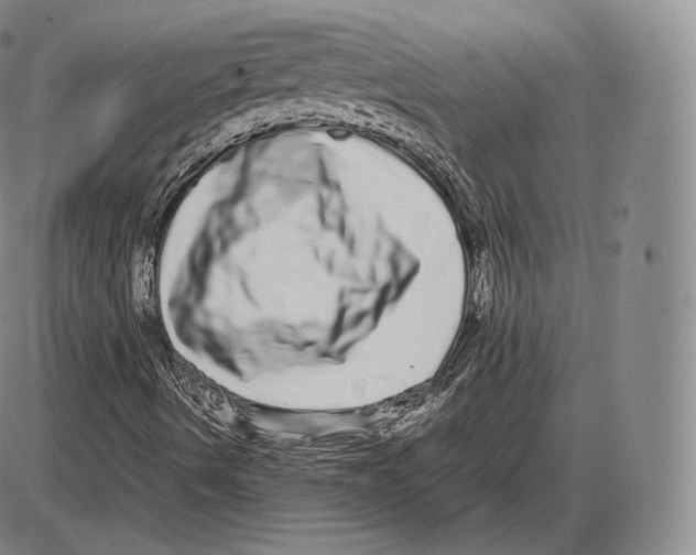 X0000085051490200704021306