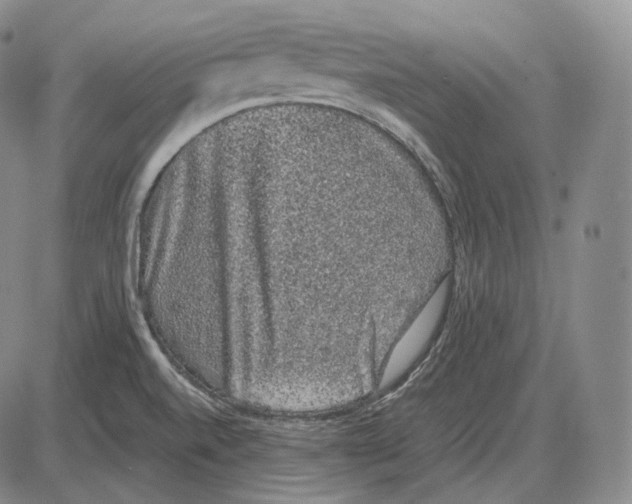 X0000085051520200704021306