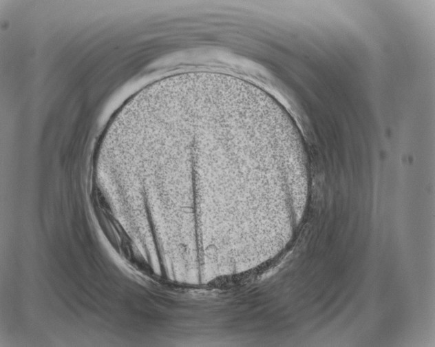 X0000085051523200704021306