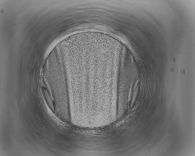 X0000085051524200704021306
