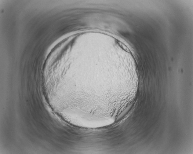 X0000085051534200704021306