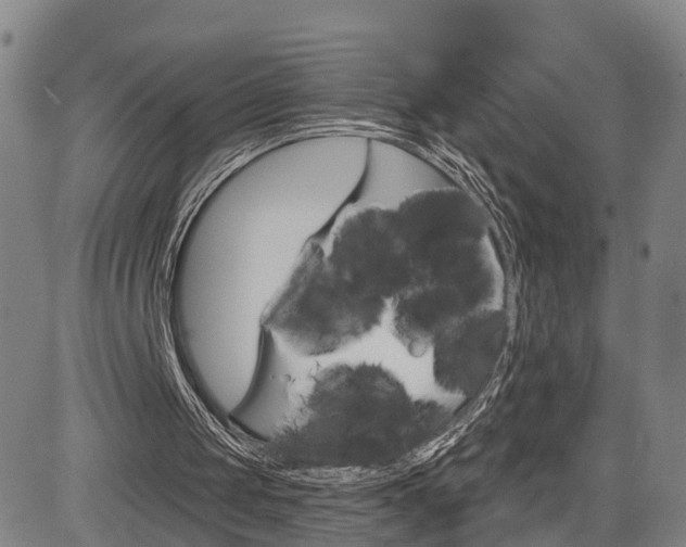 X0000085060049200703051043