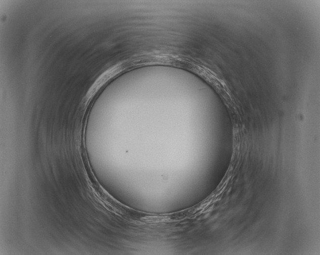 X0000085060051200703051043