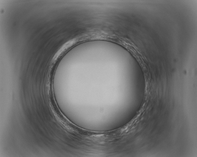 X0000085060054200703051043