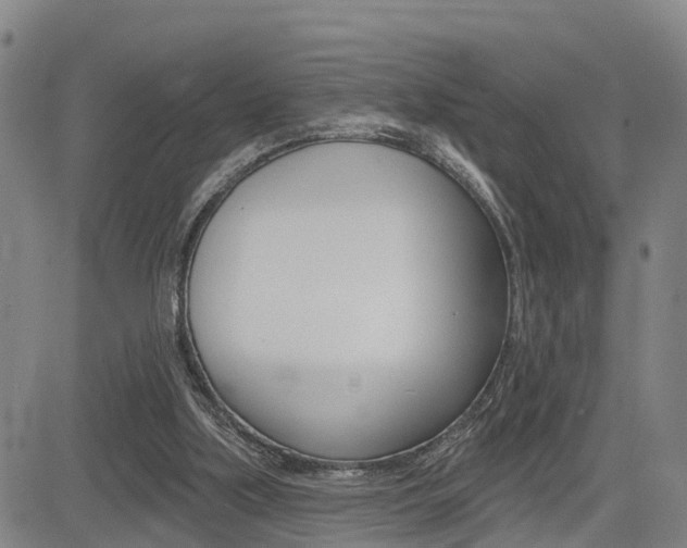 X0000085060059200703051043