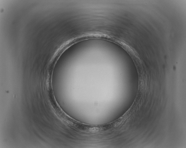 X0000085060064200703051043