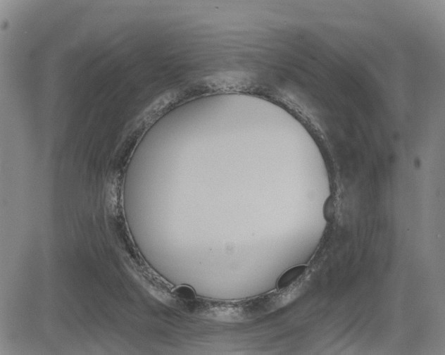 X0000085060065200703051043