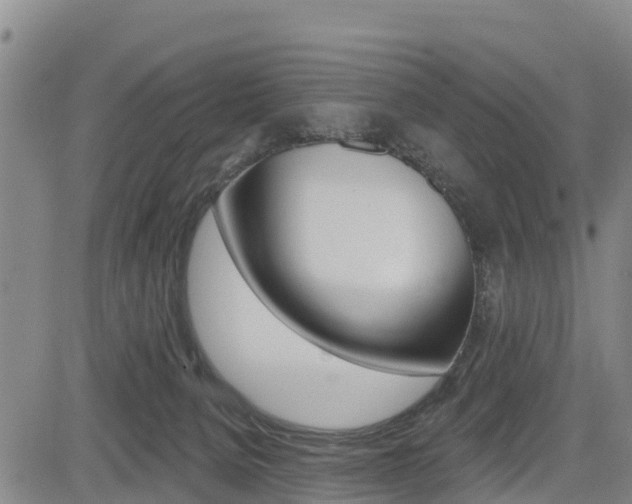 X0000085060080200703051043