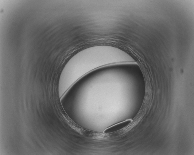 X0000085060096200703051044