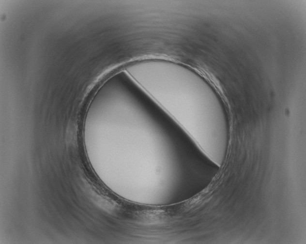 X0000085060108200703051043