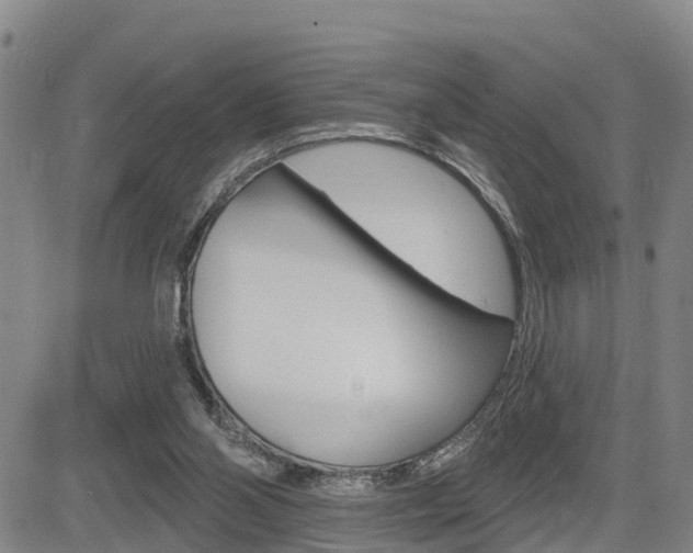 X0000085060110200703051043