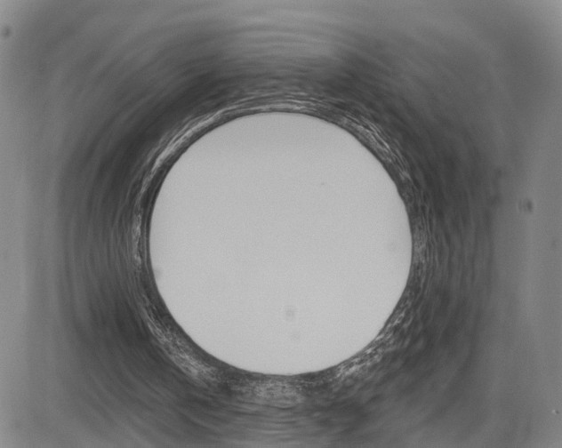 X0000085060146200703051041