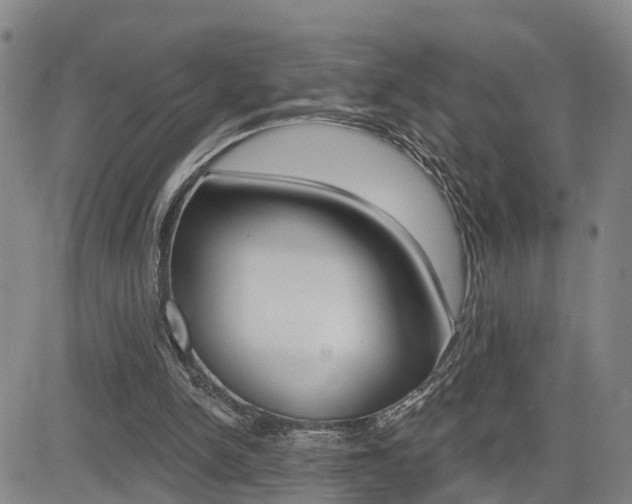 X0000085060150200703051041