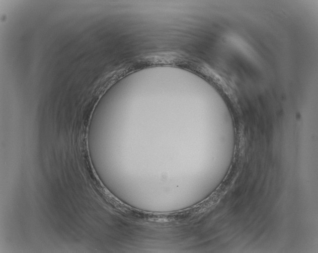 X0000085060161200703051041