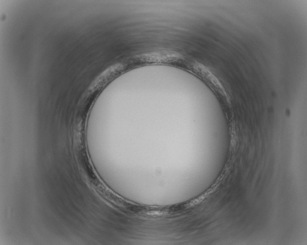 X0000085060163200703051041