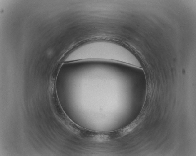 X0000085060168200703051042