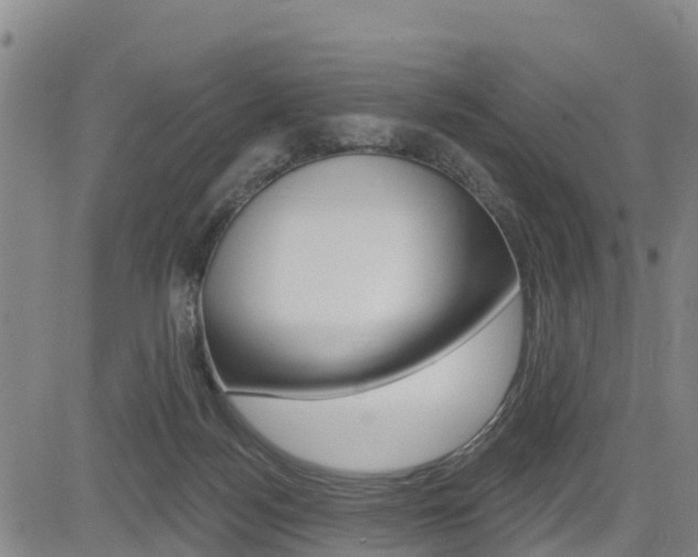 X0000085060172200703051042