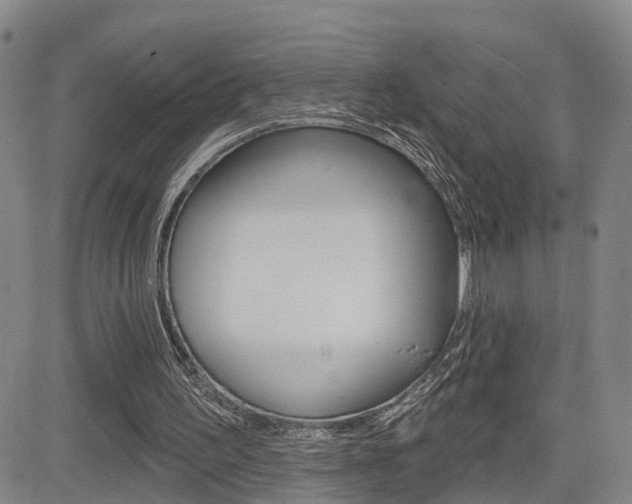 X0000085060195200703051041
