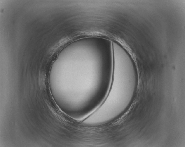 X0000085060201200703051041