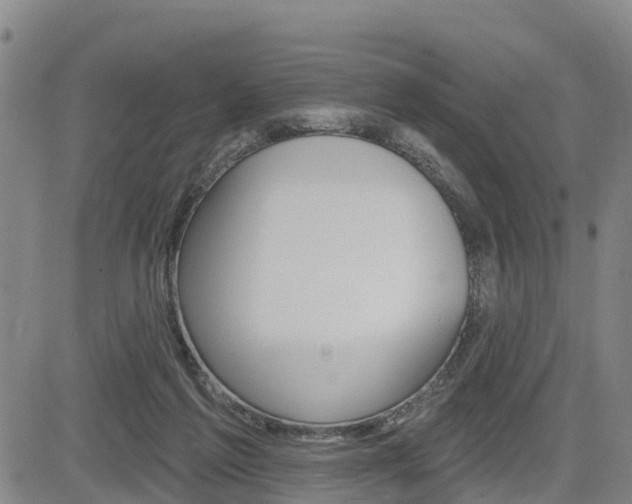 X0000085060213200703051041