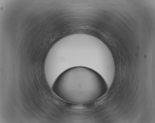 X0000085060219200703051041