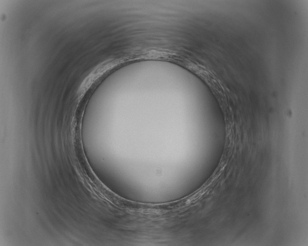 X0000085060242200703051040