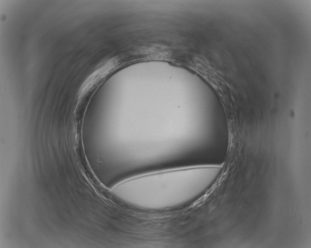 X0000085060245200703051040