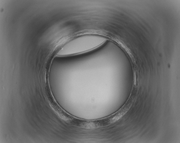 X0000085060253200703051040