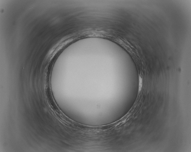 X0000085060291200703051039