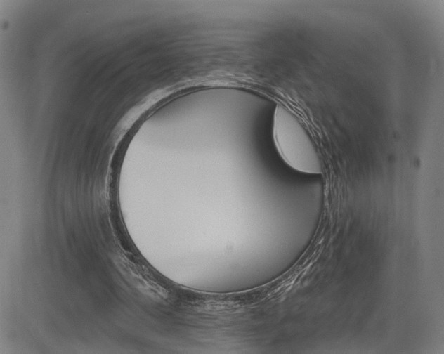 X0000085060292200703051039