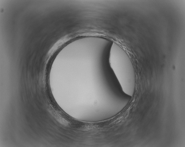 X0000085060296200703051039