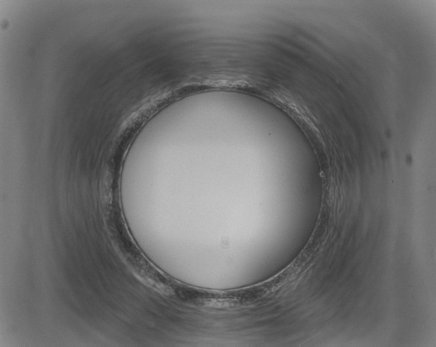 X0000085060303200703051039
