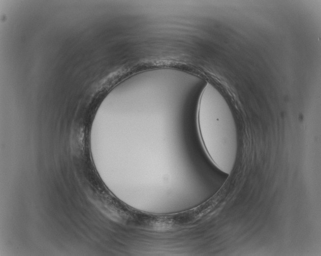 X0000085060308200703051039