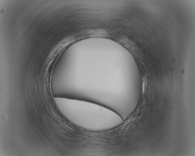 X0000085060339200703051038