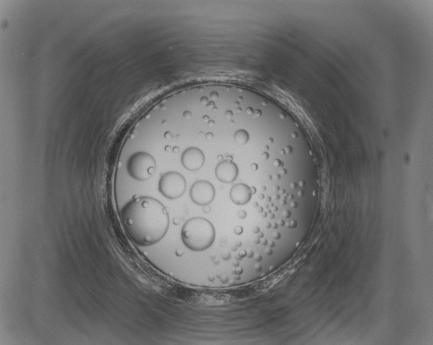 X0000085060346200703051038