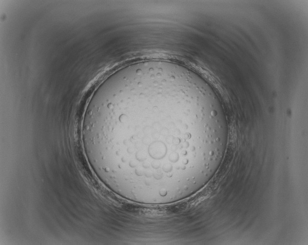 X0000085060347200703051038