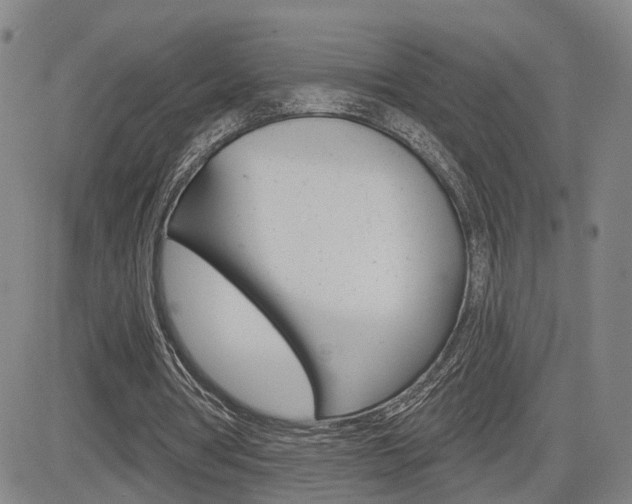 X0000085060386200703051038