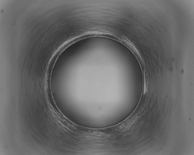 X0000085060387200703051038
