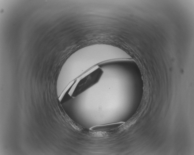 X0000085060432200703051037