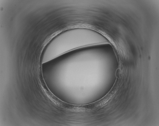 X0000085060437200703051036
