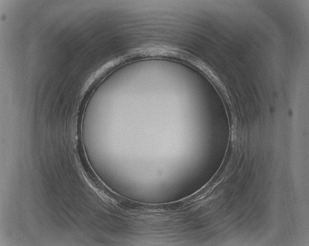 X0000085060438200703051036