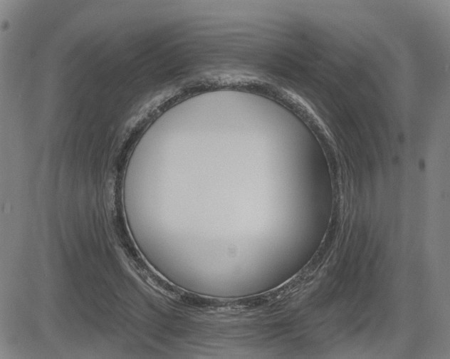 X0000085060447200703051037