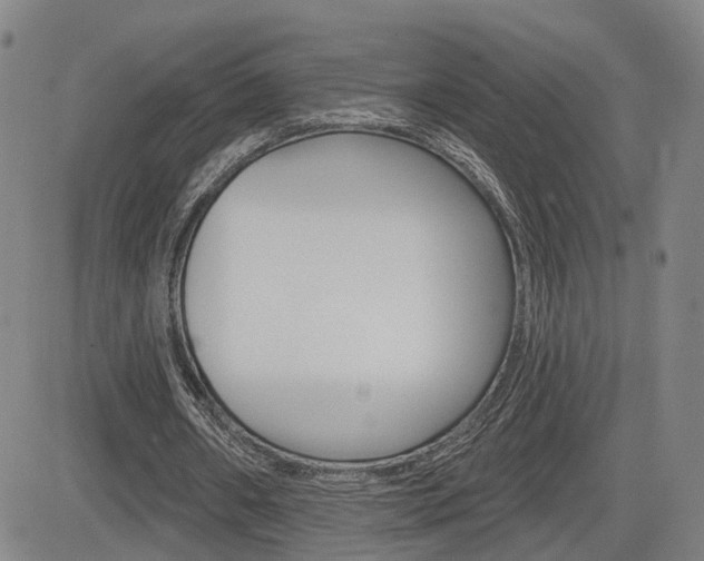 X0000085060482200703051036