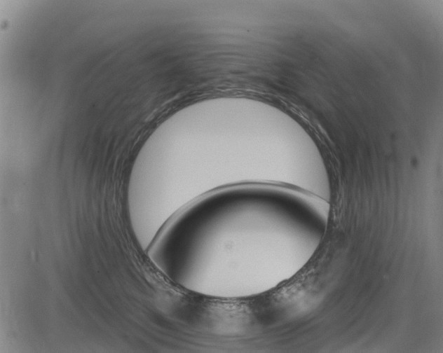 X0000085060521200703051036