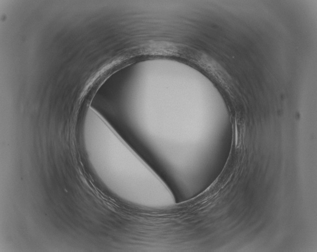 X0000085060531200703051035