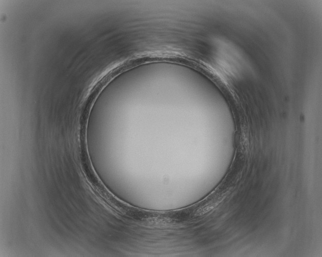 X0000085060535200703051035