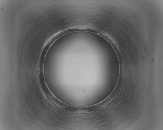 X0000085060536200703051035